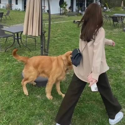 波希米亚音乐巨匠